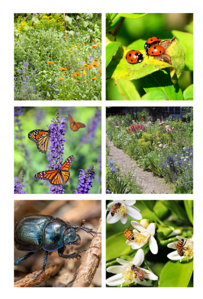 naturgarten